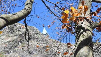 Symbolbild: Gabi Schönberger
Herbstwetter in der Oberpfalz.