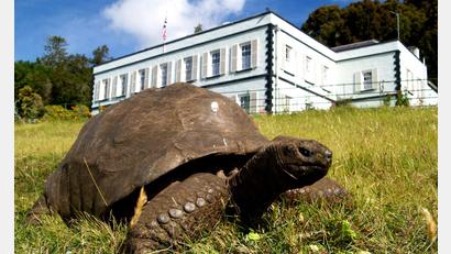 Bild: Joe Holland/EurekAlert/dpa
Jonathan ist fast 200 Jahre alt.