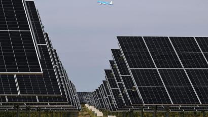 Bild: Michael Bahlo/dpa
Freiflächen-Photovoltaikanlagen gelten als die günstigste Art der Stromproduktion. (Archivbild)
