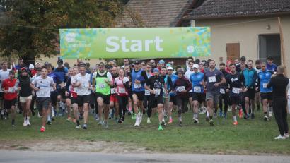Bild: Rudolf Hirsch
Start des 18. Schwandorfer Landkreislaufes in Reuting: 127 Läufer machten sich auf den Weg zum ersten Etappenziel "Warmersdorf".
