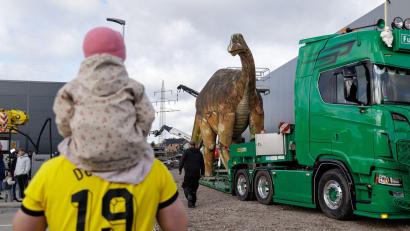 Bild: David Ebener/dpa
Die Dinosaurier-Dame „eLise“, ein lebensgroßer Camarasaurus aus Stahl und Beton, wird von ihrem bisherigen Standort bei den Saurierfährten Barkhausen in Bad Essen nach Damme transportiert.