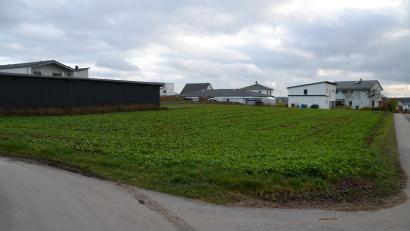 Bild: Arnold Koch
Dieses landwirtschaftliche Grundstück westlich des Baugebiets Hopfengarten gehört nicht mehr zum Bebauungsplan „Kirchenlaibach Nord-West“.