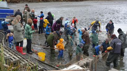 Bild: Josef Rosner
Da blieb kaum einer sauber: Beim Abfischen am „Gowerlhof“ in Rothenbürg wateten die Kinder durch den schlammigen Teichgrund und halfen dabei, die Fische an Land zu holen.