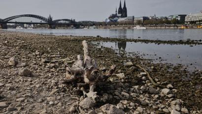 Bild: Oliver Berg/dpa
Auch viele deutsche Flüsse hatten sehr niedrige Pegelstände. (Symbolbild)