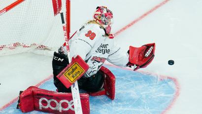 Bild: Uwe Anspach/dpa
Mirko Pantkowski steht künftig für die Straubing Tigers im Tor. (Archivbild)