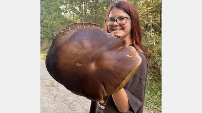 Bild: Hannah Zeus
Die elfjährige Victoria zeigt den Riesen-Steinpilz, den sie mit ihrem Bruder Thomas im Waldnaabtal gefunden hat. Die Kappe hat einen Durchmesser von 33 Zentimetern.