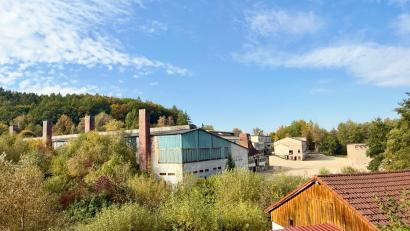 Archivbild: Gabi Schönberger
Schon jetzt wuchern Büsche und Bäume zwischen den ehemaligen Tritschler-Werkshallen. Das Gelände ist in den Besitz der Stadt übergegangen.