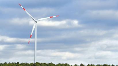 Bild: Patrick Pleul/dpa-Zentralbild/dpa
Die Deckelung ist Bestandteil der Reform des Erneuerbare-Energien-Gesetzes (EEG), das derzeit im Bundestag beraten wird. (Archivbild)