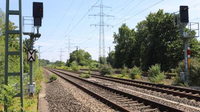 Bild: Sascha Thelen/dpa
2023 hat die Bahn den Einsatz von Glyphosat eingestellt - und macht nun die Kehrtwende. (Archivbild)