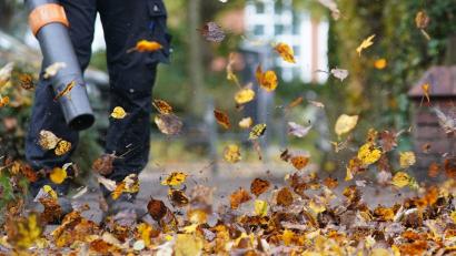 Bild: Marcus Brandt/dpa
Laub ist ein natürlicher Dünger für den Boden und sorgt für Artenvielfalt im Garten. (Symbolbild)