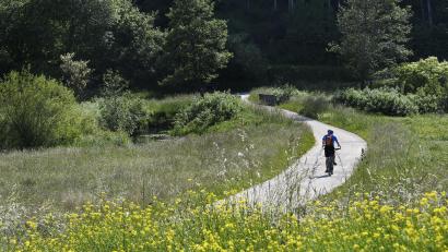 Symbolbild: Petra Hartl
Der Radweg zwischen Windischeschenbach und Neustadt/WN wird bald fertig gestellt.