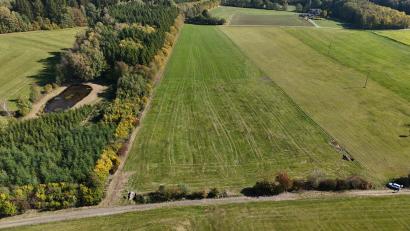 Bild: Greenovative
Auf diesem 2,6 Hektar großen Areal in Gutenfürst soll ein Solarpark errichtet werden