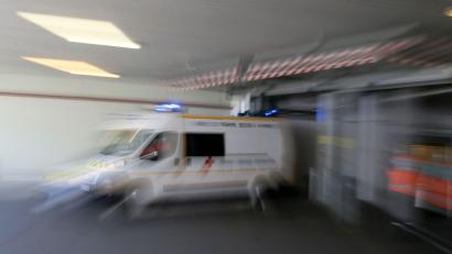 Bild: David Vincent/AP/dpa
In Frankreich ist erstmals eine Shamonda-Virus-Infektion bei einem Menschen festgestellt worden (Archivbild).