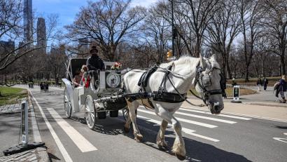 Bild: Bianca Otero/ZUMA Press Wire/dpa
Die Kutschen rollen seit rund 150 Jahren durch den Central Park. (Archivbild)