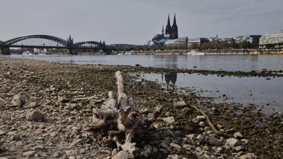 Bild: Oliver Berg/dpa
Die Wasserstände der Flüsse waren nach einer Auswertung des Science Media Center dieses Jahr extrem niedrig (Archivbild).