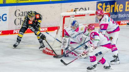 Bild: Maximilian Koch/dpa
Eisbären-Goalie Jonas Neffin steht im Aufgebot für den Deutschland-Cup in Düsseldorf. Er ist nicht der einzige Spieler mit Weidener Vergangenheit, der nominiert wurde.