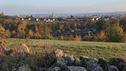 Bild: Tobias Gräf
Famoser Panoramablick: Von den angelegten Steinwällen auf der renaturierten Deponie oberhalb der Steigerhaus-Schrebergärten lässt sich ganz Amberg überblicken.