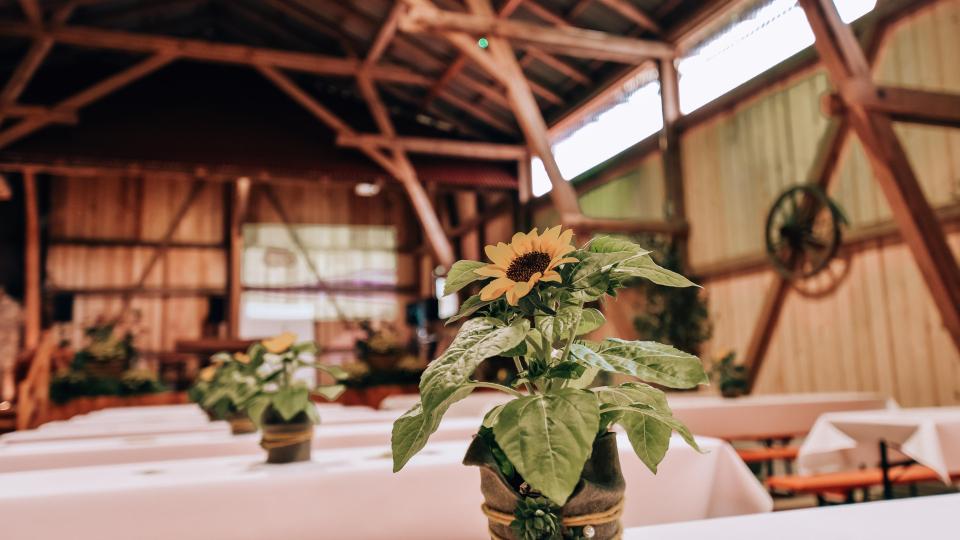 Mit märchenhaftem Innenhof und historischem Flair bietet der Mühlenhof die perfekte Kulisse für Feierlichkeiten. Bild: Mühlenhof Mähring