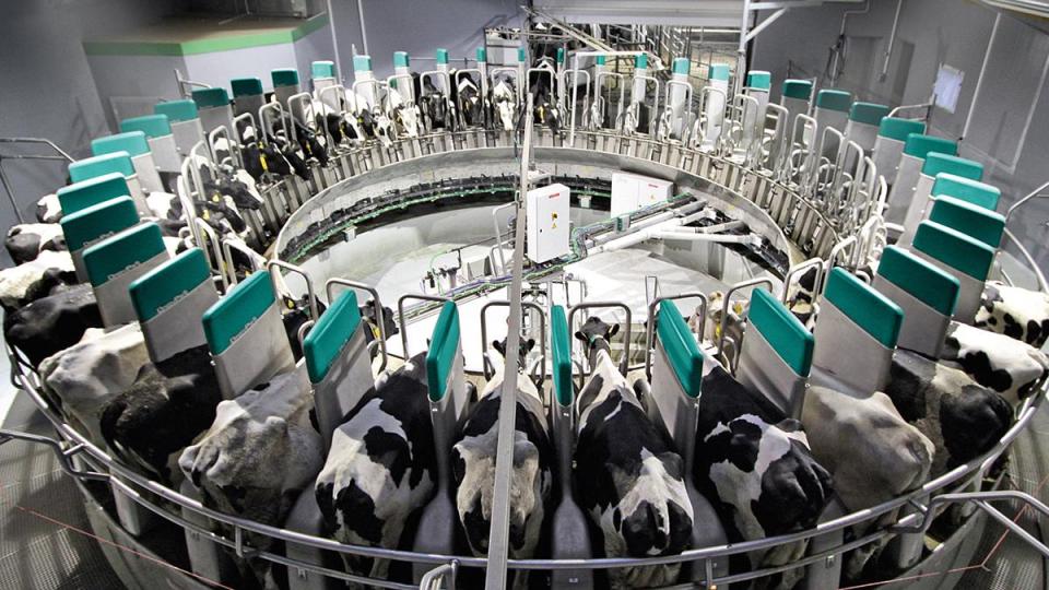 Aktuellste Technik vom starken Partner: hier zum Beispiel das Roboterkarussell DairyProQ. Bild: foa