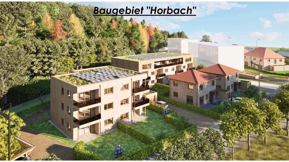 HK Projektbau/KY Bau entwickeln in Weiden das Baugebiet "Horbach". Bild: exb