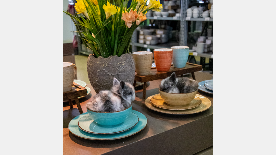 Die BHS tabletop AG startet mit einer tollen Osteraktion in den Frühling. Bild: BHS tabletop AG
