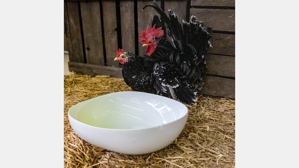 Die BHS tabletop AG startet mit einer tollen Osteraktion in den Frühling. Bild: BHS tabletop AG