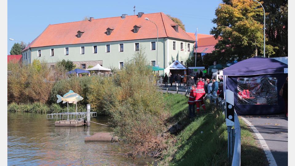 In Kornthan bei Wiesau werden am 28. September die Erlebniswochen Fisch 2025 eröffnet. Bild: exb