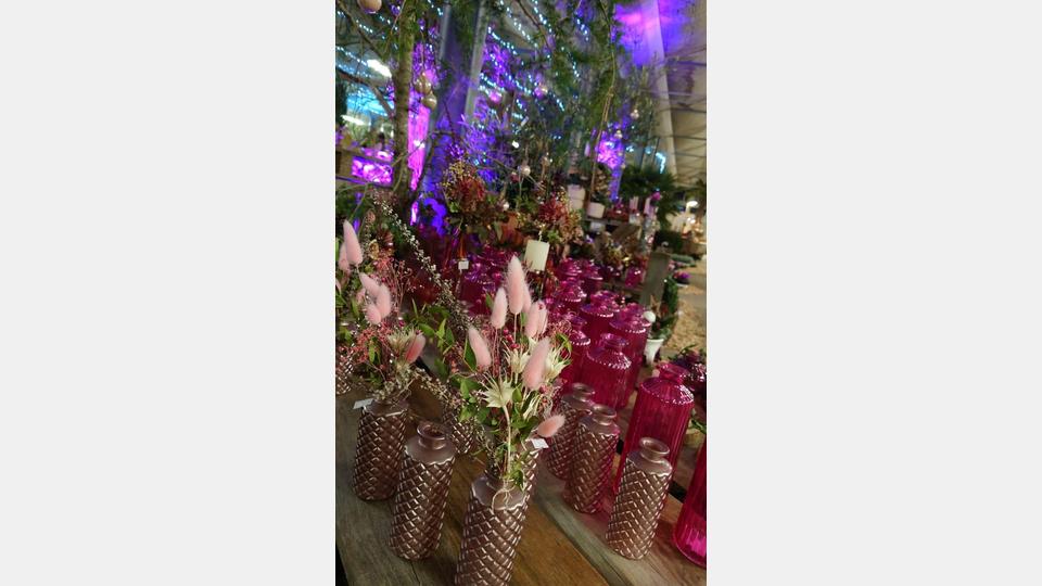 Im Gwäxhaus Schinner findet von 21. bis 23. November das Lichterfest 2025 statt. Bild: Schinner Gartenbau Floristik