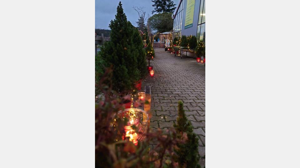 Im Gwäxhaus Schinner findet von 21. bis 23. November das Lichterfest 2025 statt. Bild: Schinner Gartenbau Floristik