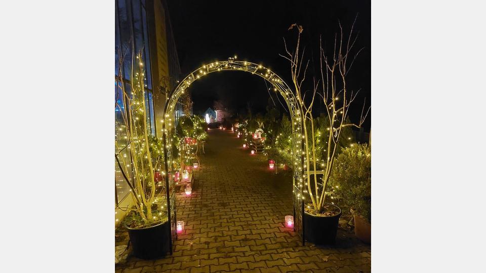 Im Gwäxhaus Schinner findet von 21. bis 23. November das Lichterfest 2025 statt. Bild: Schinner Gartenbau Floristik
