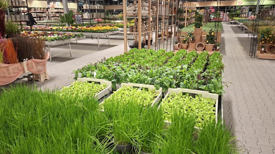 Auf rund 4800 Quadratmetern Verkaufsfläche werden den Kunden im neuen Gartenmarkt der Gärtnerei Steinhilber eine große Auswahl an Pflanzen und Gartenzubehör angeboten. Bild: prh