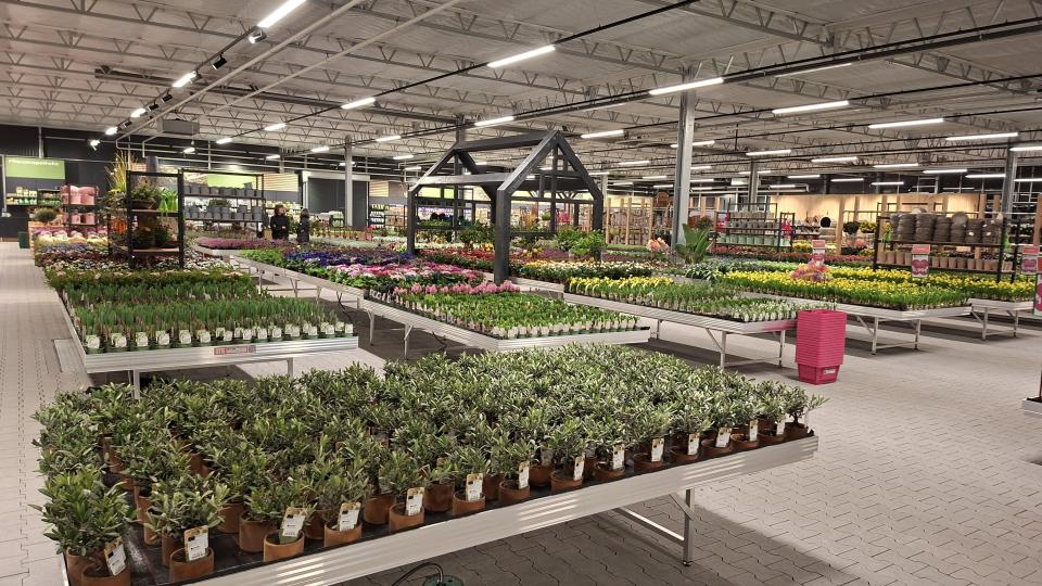 Auf rund 4800 Quadratmetern Verkaufsfläche werden den Kunden im neuen Gartenmarkt der Gärtnerei Steinhilber eine große Auswahl an Pflanzen und Gartenzubehör angeboten. Bild: prh