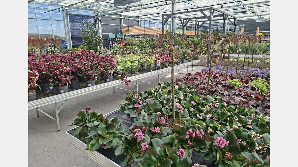 Das „blühende Gartenparadies“ lässt auf 4800 Quadratmeter Verkaufsfläche kaum Wünsche offen. Bild: prh