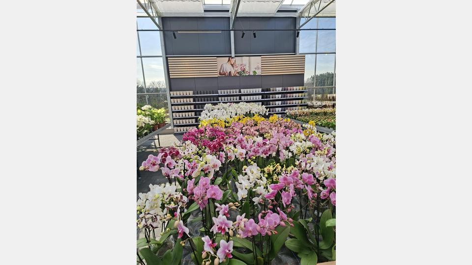 Nachhaltigkeit und Energieeffizienz stehen im Fokus des neuen Gartenmarkts. Bild: prh