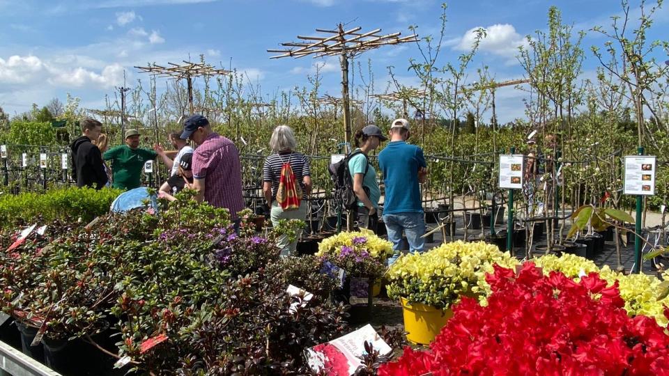 Die Qual der Wahl: Den Besuchern wird dabei auch kompetente Beratung geboten. Archivbild: Völkl