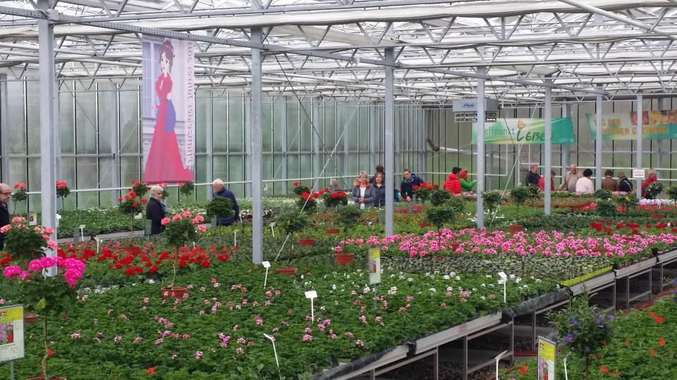 1A Garten Krauss hat am verkaufsoffenen Sonntag, 16. April 2026, von 10 bis 17 Uhr geöffnet. Archivbild: 1A Garten Krauss