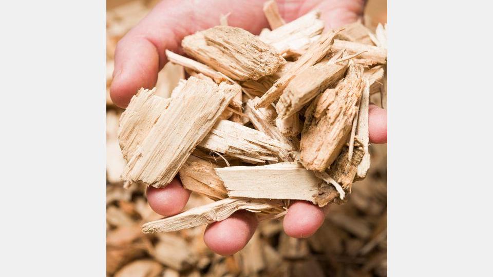 Der Einsatz heimischer Brennstoffe reduziert die Abhängigkeit von fossilen Weltmärkten. Bild: exb/Danpower