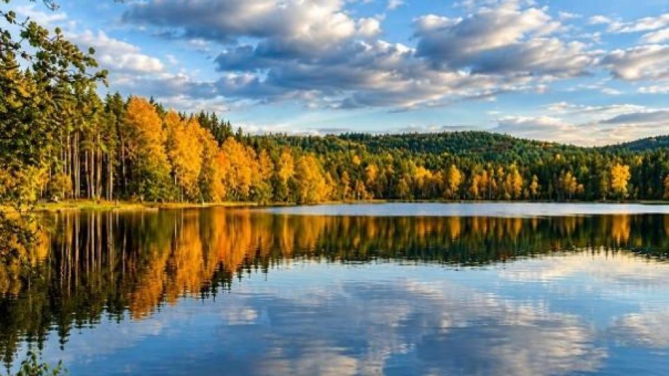 Die attraktive Lage am „Großen Weiher“ spricht ebenfalls für die Tinyhäuser. Bild: exb