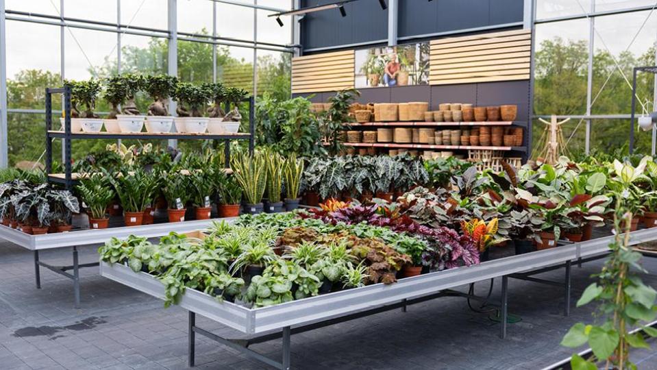 Die Gärtnerei Steinhilber steht seit Jahrzehnten für Qualität, Regionalität und echte Leidenschaft für Pflanzen. Bild: Sara Neidhardt