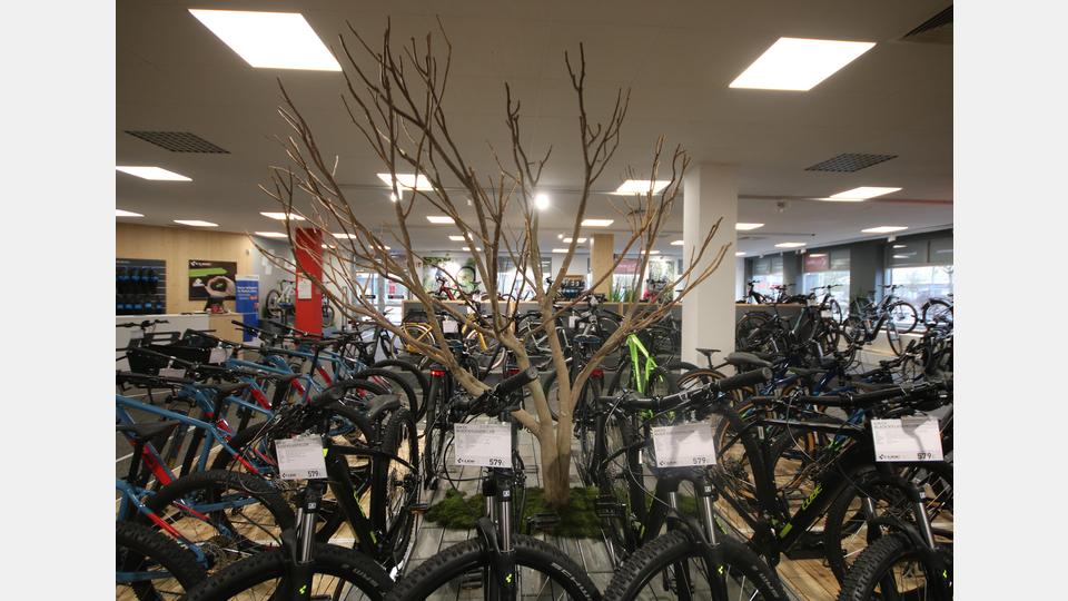 Die CUBE-Experten vor Ort, wie hier in Amberg, begleiten dich von der ersten Beratung bis zur Abholung deines neuen Bikes. Bild: Multicycle