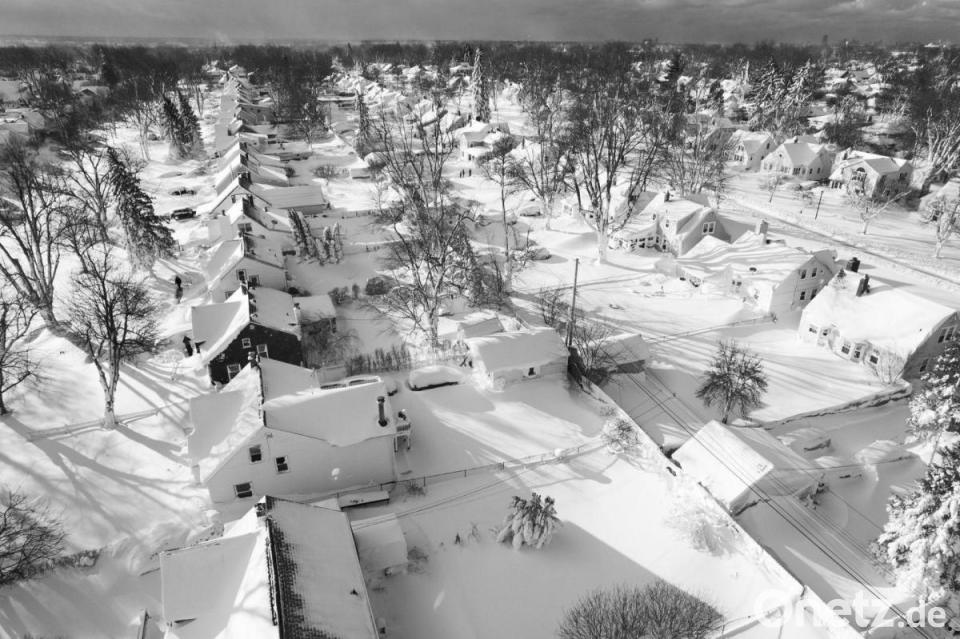 Grüner Schüler-Daumen | Onetz