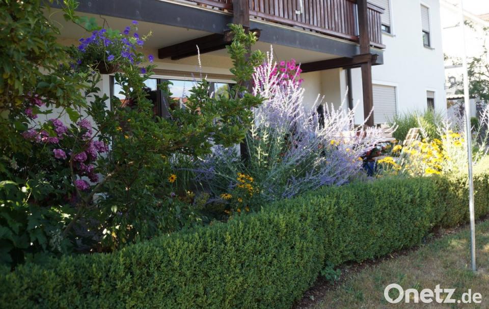 Trockenheit setzt Garten zu | Onetz