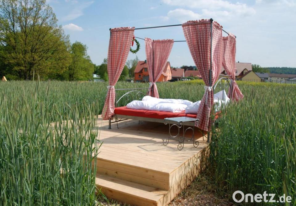 Gartenschau Punktet Mit Heimatschatzen Onetz