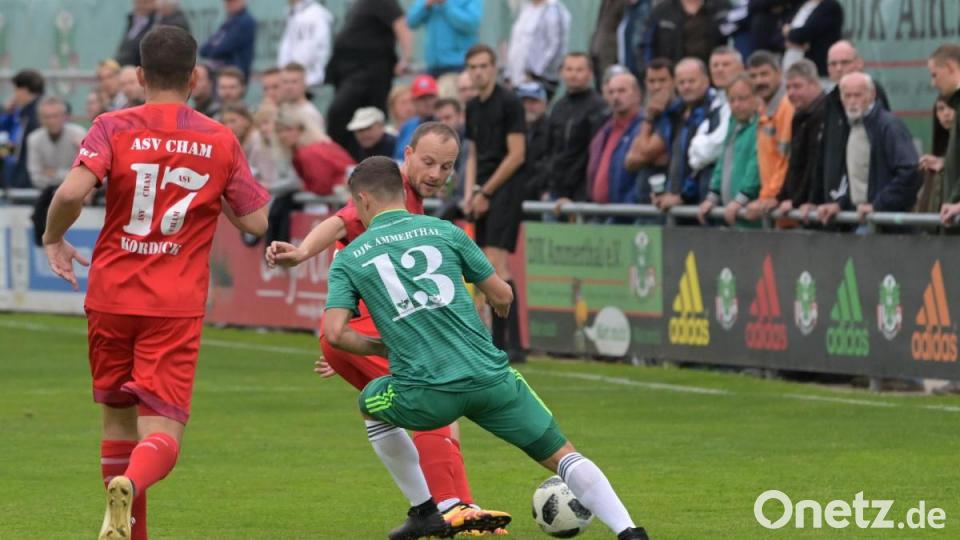 Download Kaltschnaeuzigkeit For Free Kaltschnaeuzigkeit