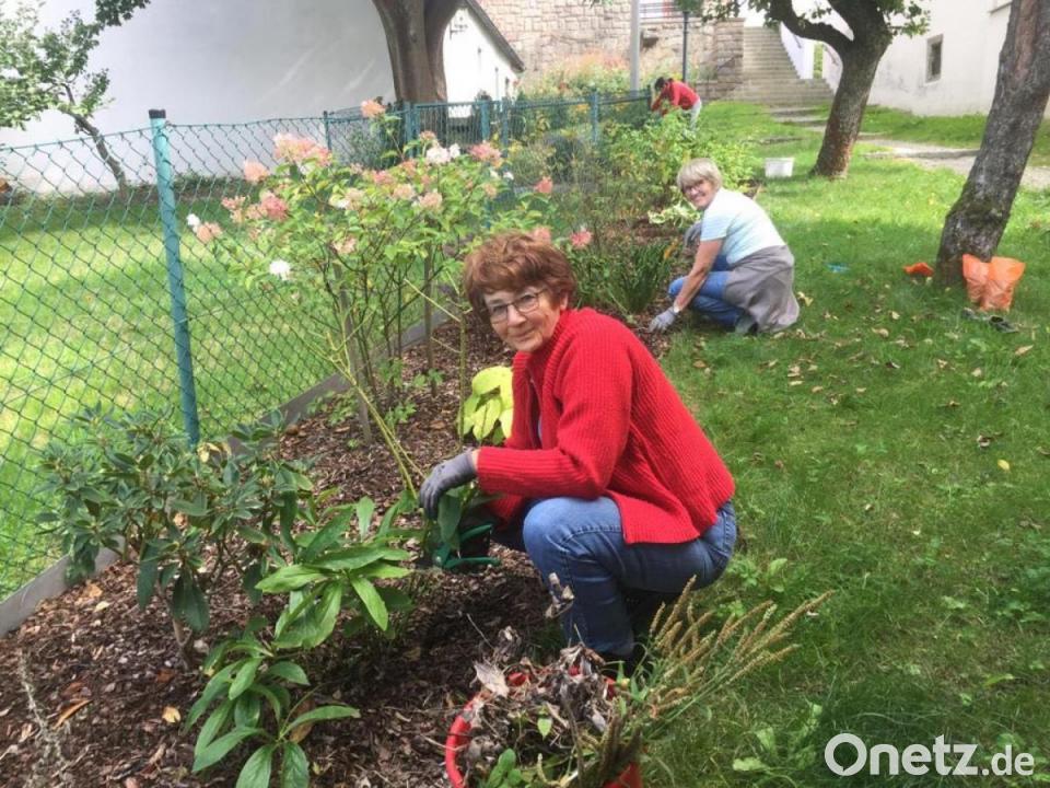 Hundekot Am Rosenkranzweg Onetz