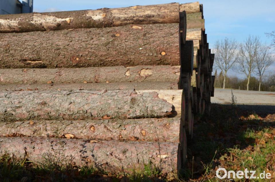 Holzpreis im Keller | Onetz