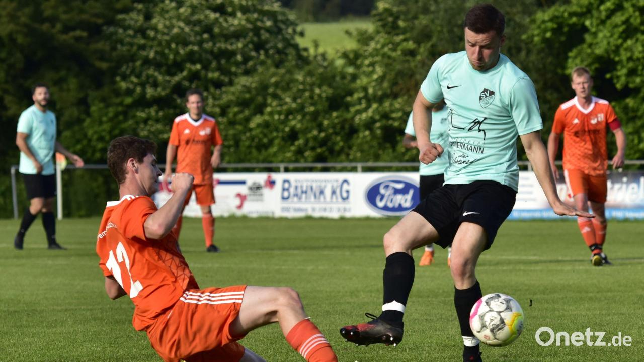 Sich Wie Ein Fisch Im Wasser Fuhlen Onetz