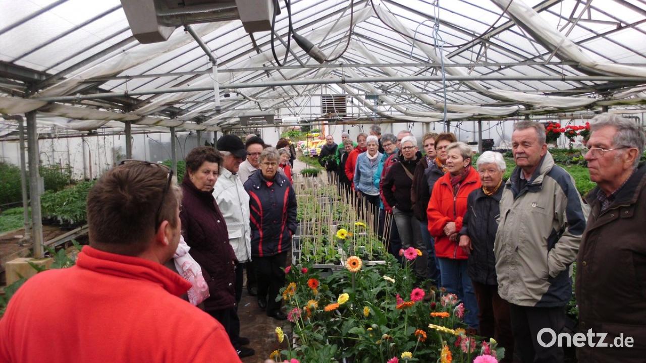obst und gartenbauverein wolfring besichtigt gartnerei nagele besuch bei der sinnlichen sissi onetz