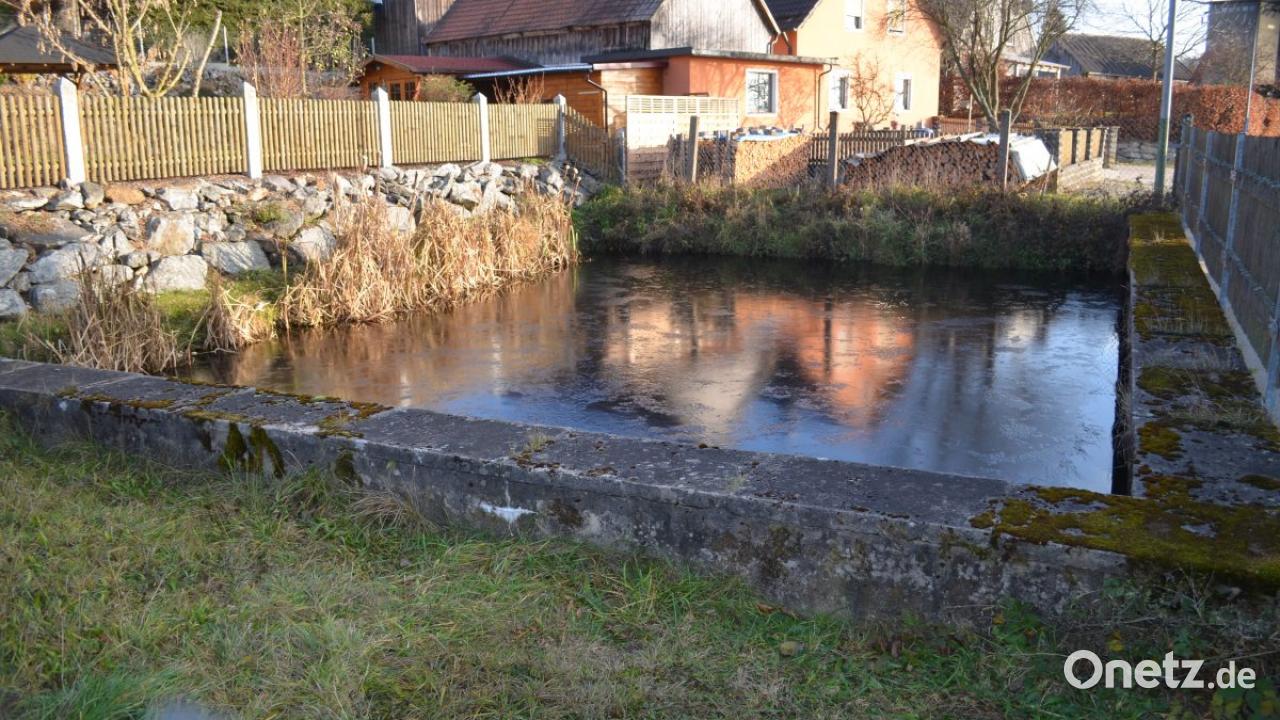 zu wenig wasser im loschteich onetz