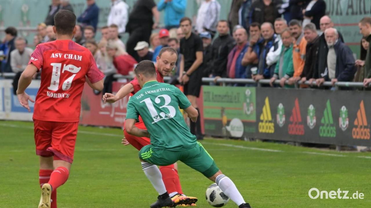 Get Kaltschnaeuzigkeit Desktop Wallpaper Free Kaltschnaeuzigkeit